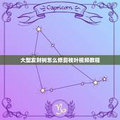 大型发财树怎么修剪枝叶视频教程，怎样修剪发财树的枝叶？