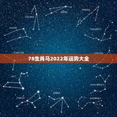 78生肖马2022年运势大全，2022 生肖马运势大全