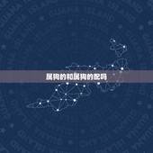 属狗的和属狗的配吗，十二生肖配对表