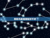 狗和马属相婚配好不好，属狗和属马的属相好吗？