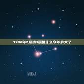 1996年2月初3属相什么今年多大了，1996年2月属什么属相？