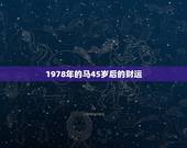 1978年的马45岁后的财运，78年属马42岁以后财运