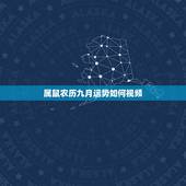 属鼠农历九月运势如何视频，72属鼠人五十大运到了
