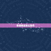 香港集运怎么操作，您好，我是淘宝卖家，这边有个香港的客户不知道怎么选择