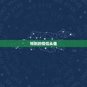 特别的情侣头像，求 非常好看特别的情侣头像