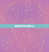 查看日历今天属什么，日历在线查看