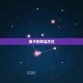 兔子的财运方位，属相兔怎么招财