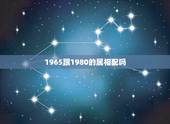 1965跟1980的属相配吗，1980属猴的男人和什么属相最配