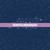 属龙的可以戴龙的饰品吗，属龙为什么不能佩戴龙