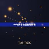 97年属牛的属相婚配表，97年男属牛的和什么属相最配