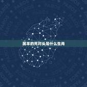 属羊的死对头是什么生肖，91属羊男和98属虎女