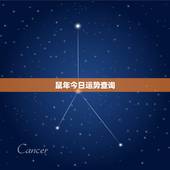 鼠年今日运势查询，属鼠未来5年运势如何