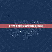十二生肖今日运势12属相每日运程，水墨十二生肖运势每日运程如何？