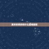 属羊的男的和什么属相最配，生肖羊更佳配对属相