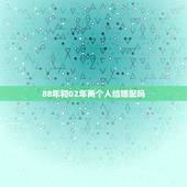 88年和02年两个人结婚配吗，88年属龙的和什么属相的比较配