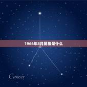 1966年8月属相是什么，1966年属马的人八月份出生是什么星座