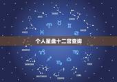 个人星盘十二宫查询，怎样查询自己的星座十二宫啊？