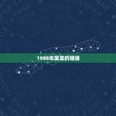 1988年属龙的姻缘，1988年属龙的婚姻配对