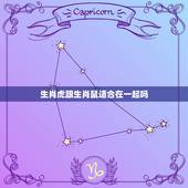 生肖虎跟生肖鼠适合在一起吗，十二生肖鼠与虎的可以在一起吗？