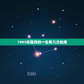 1993年属鸡的一生有几次劫难，1993年属鸡劫
