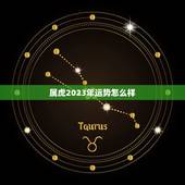 属虎2023年运势怎么样，属虎人2023年全年运势运程