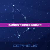 鸡和猴属相合吗鸡和猴结婚合不合，鸡和猴的属相性格合不合