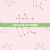 公历1954年1月30日属相，1997年1月的属什么