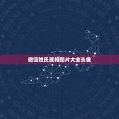 微信姓氏属相图片大全头像，微信头像图片大全百家姓张