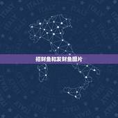 招财鱼和发财鱼图片，看看这个招财鱼怎么回事啊？