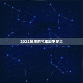 2022属虎的今年周岁多大，属猪的今年多大