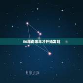 86年虎哪年才开始发财