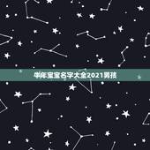 牛年宝宝名字大全2021男孩，2021属牛男孩最吉利的名字