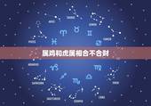 属鸡和虎属相合不合财 鸡和虎在一起事业旺吗