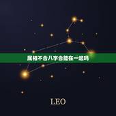 属相不合八字合能在一起吗，属相不合的人能在一起吗？