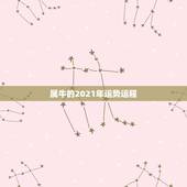 属牛的2021年运势运程，73年属牛人2021年运势