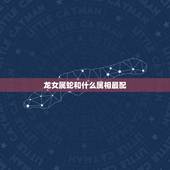 龙女属蛇和什么属相最配，属蛇男和属龙女相配吗