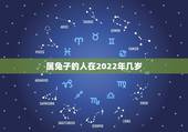 属兔子的人在2022年几岁，属兔子多少岁