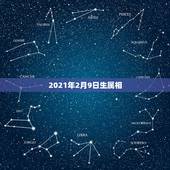 2021年2月9日生属相，2021年今天属相是什么