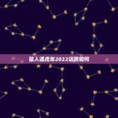 鼠人遇虎年2022运势如何，96年属鼠男一生婚姻运势