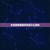 生肖猴婚姻最好的是什么属相，1980年男6月猴婚姻配什么属相