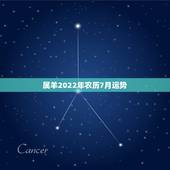 属羊2022年农历7月运势，七九年属羊阴历六月七月女人运程