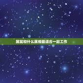 属鼠和什么属相最适合一起工作，属鼠和什么属相合伙经营最配