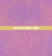 鸡叫三声天将亮什么属相，鸡叫三声天快亮猜一生肖