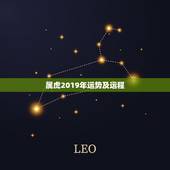 属虎2019年运势及运程，1986年属虎2019年运势