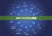 20011224什么属相，23岁的属相是什么？