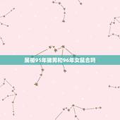 属相95年猪男和96年女鼠合吗，1996年女的属老鼠和1995年男的属