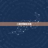 二将交锋在沙场，决胜雌雄使刀枪是什么生肖，二将交锋在沙场，决胜雌雄使刀