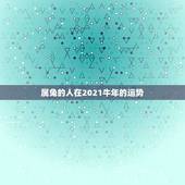 属兔的人在2021牛年的运势，2021年生肖运势大全排名 运程详解