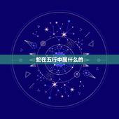 蛇在五行中属什么的，蛇是属于什么五行属性