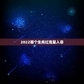 2022哪个生肖红鸾星入命，2022壬寅年动婚姻宫的八字